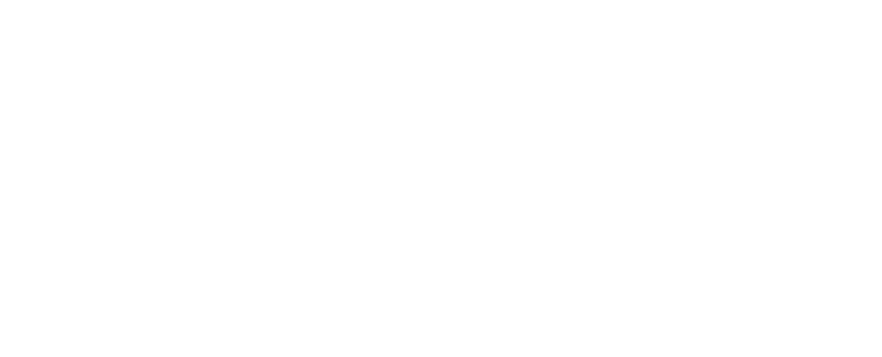 Voice AI × Consulting